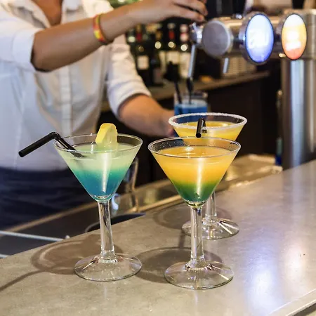 巴黎戴高乐机场美居酒店