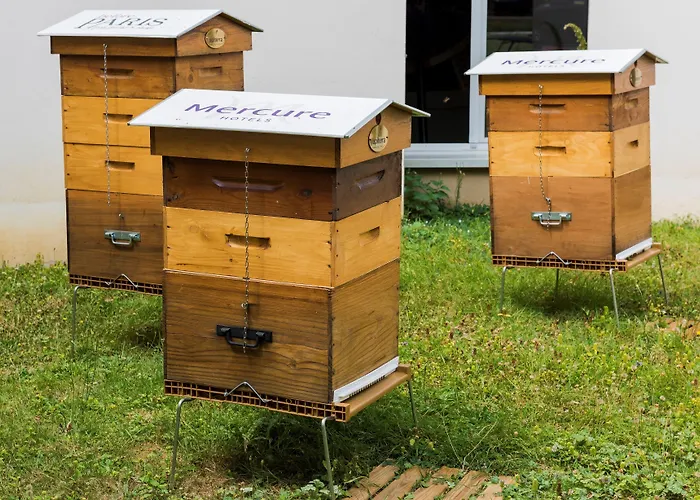 巴黎戴高乐机场美居酒店 鲁瓦西昂法兰西